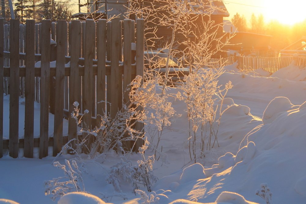 Photograph by Галина Радчук