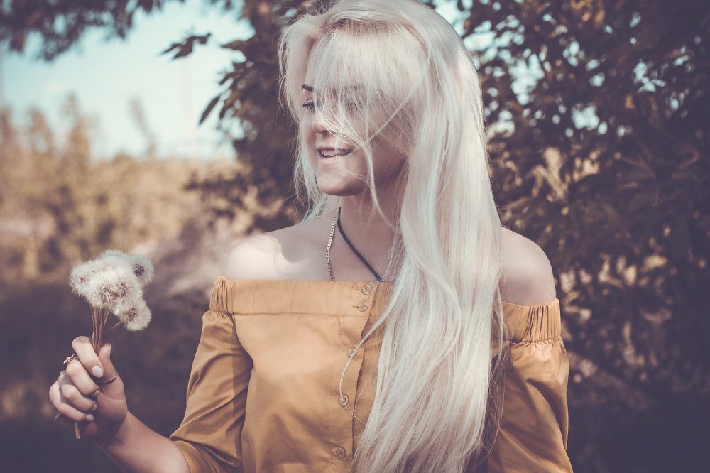 Одуванчики