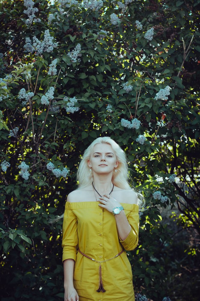 Сирень в цвету