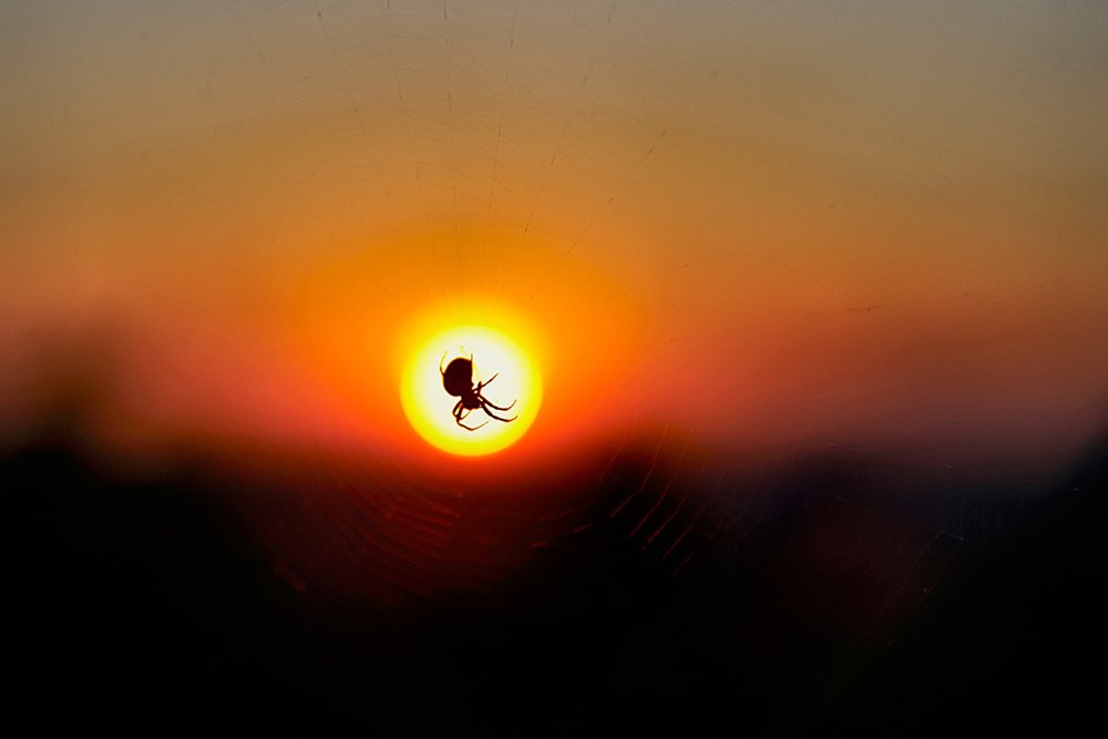 летний вечер