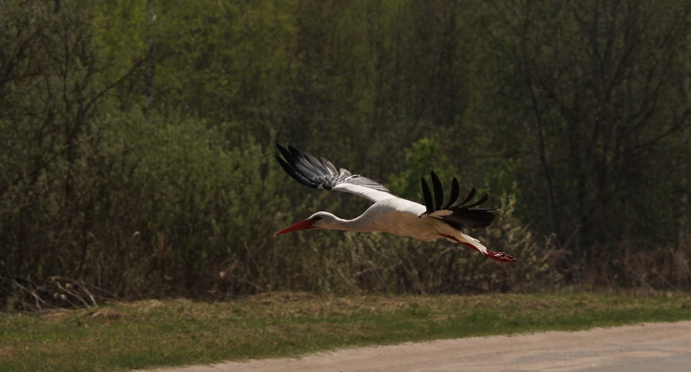 Photograph by Андрей Шартов