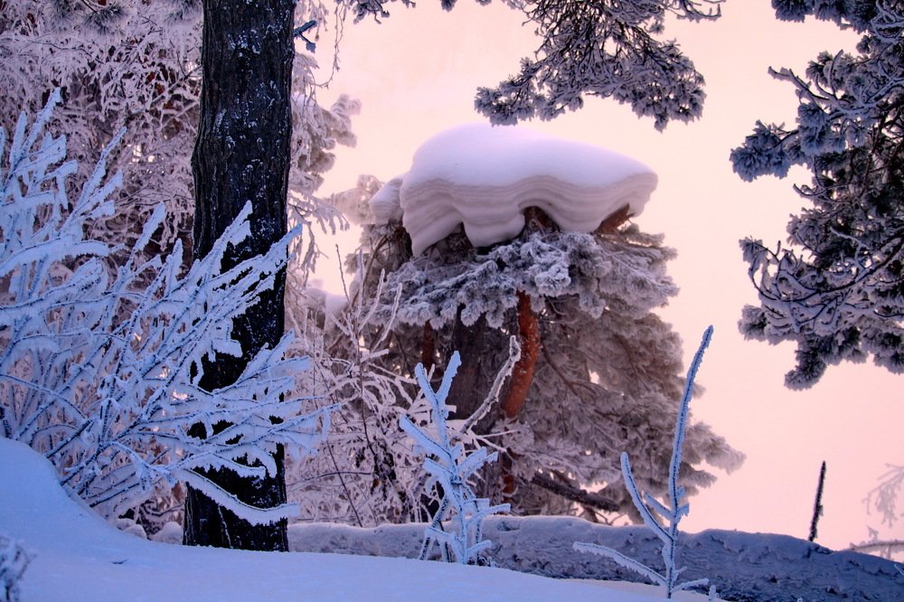 Рассвет приводит новый день земной.