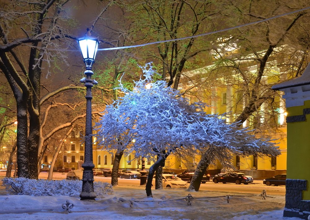 В центре Санкт-Петербурга
