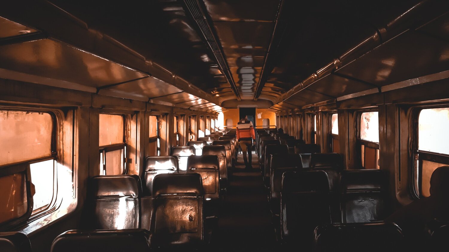 the train