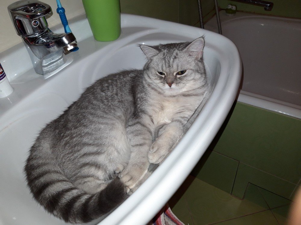 Photograph by псотик владимир