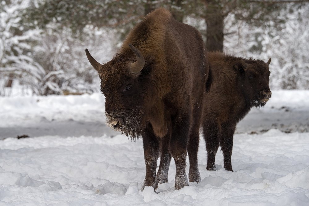 ПОД ЗАЩИТОЙ