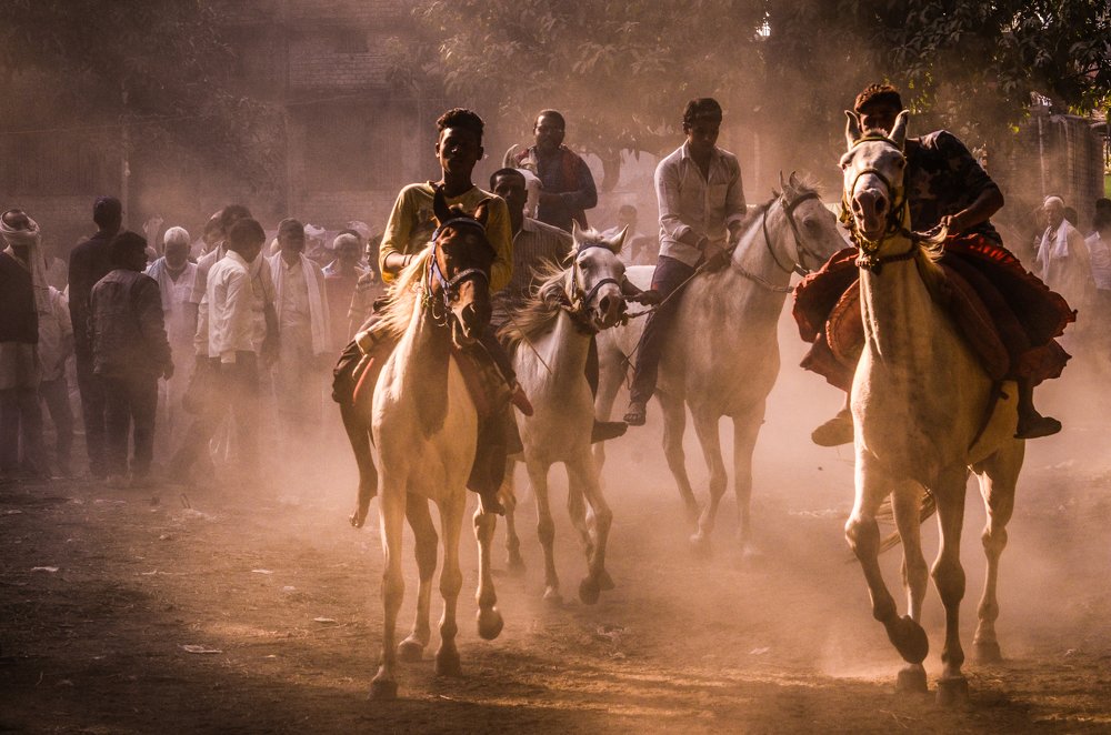 Horse racing at Sonepur cattle fair