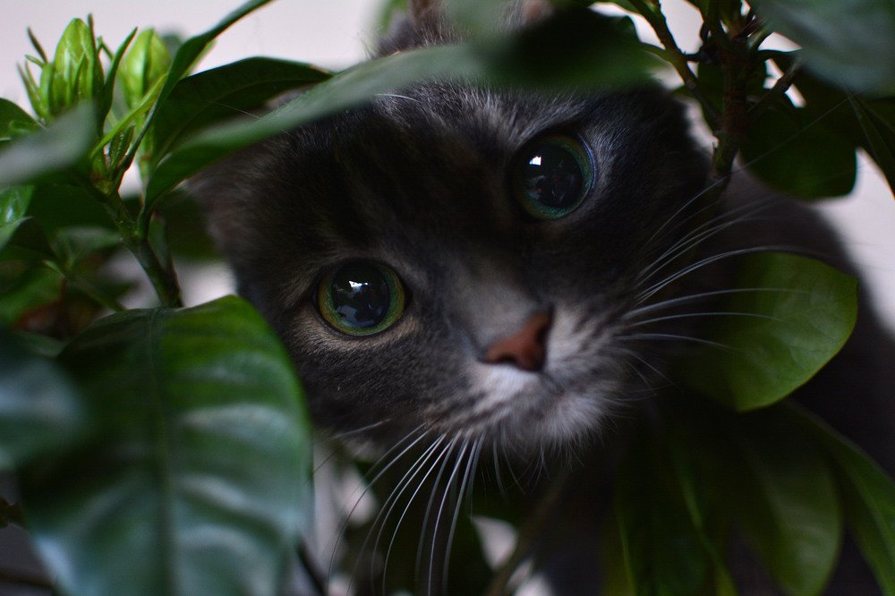 Photograph by Виктория