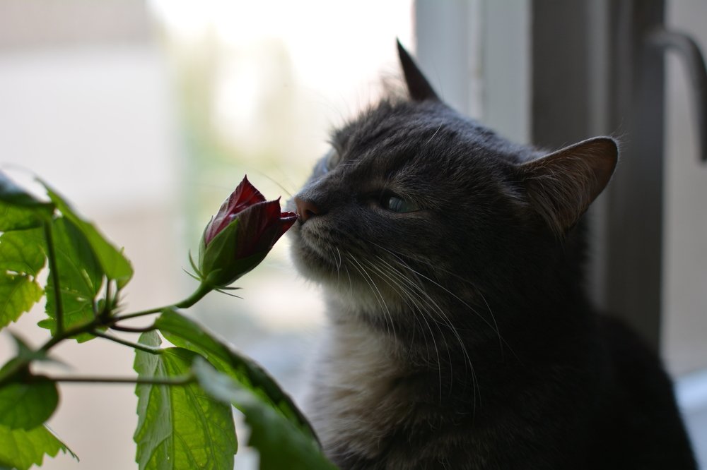 Photograph by Виктория