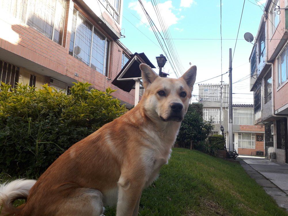 El flaco llamado riley