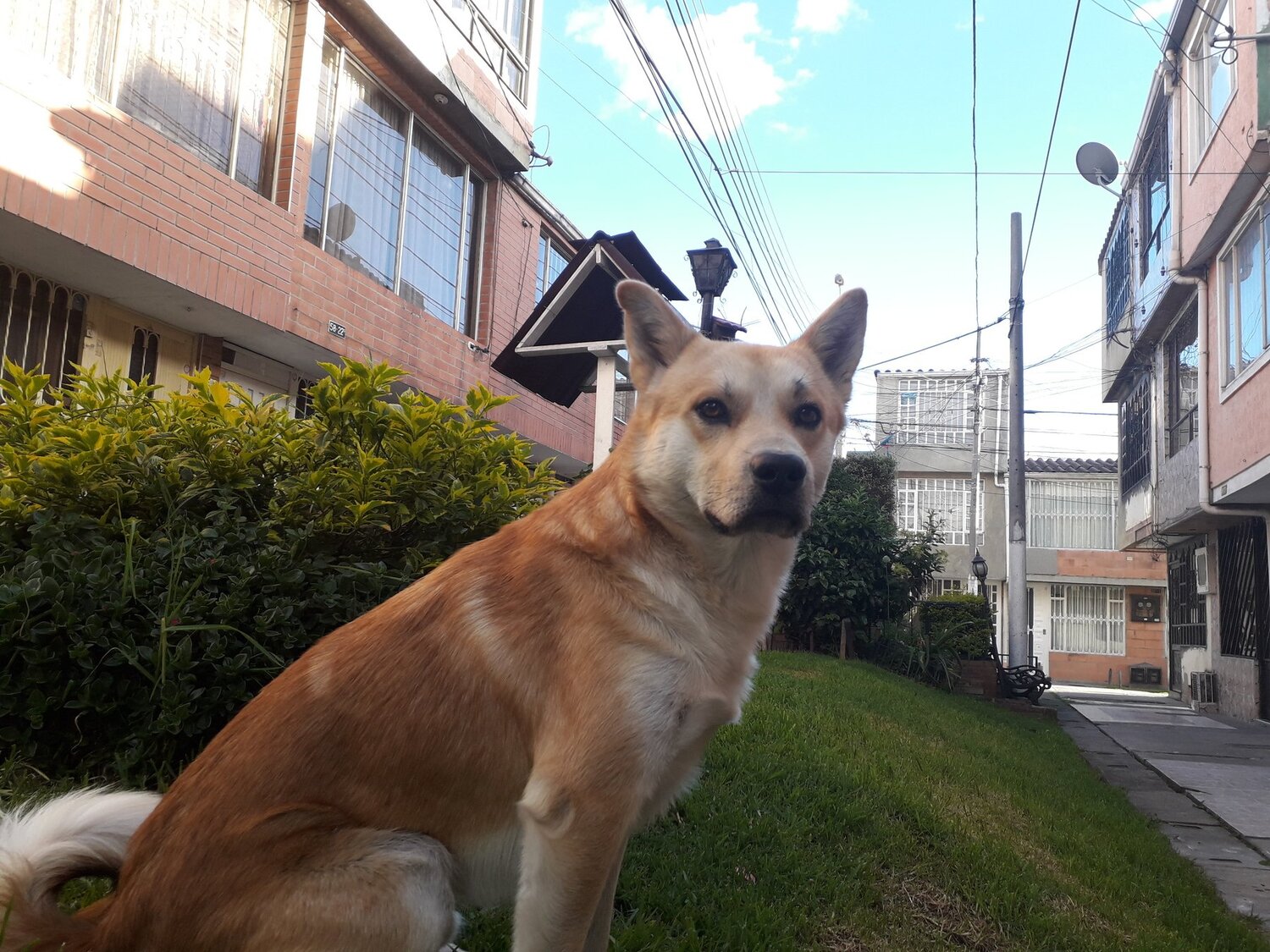 El flaco llamado riley