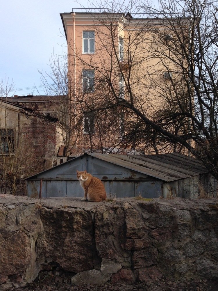Встреча на камне. Meeting at the stone.