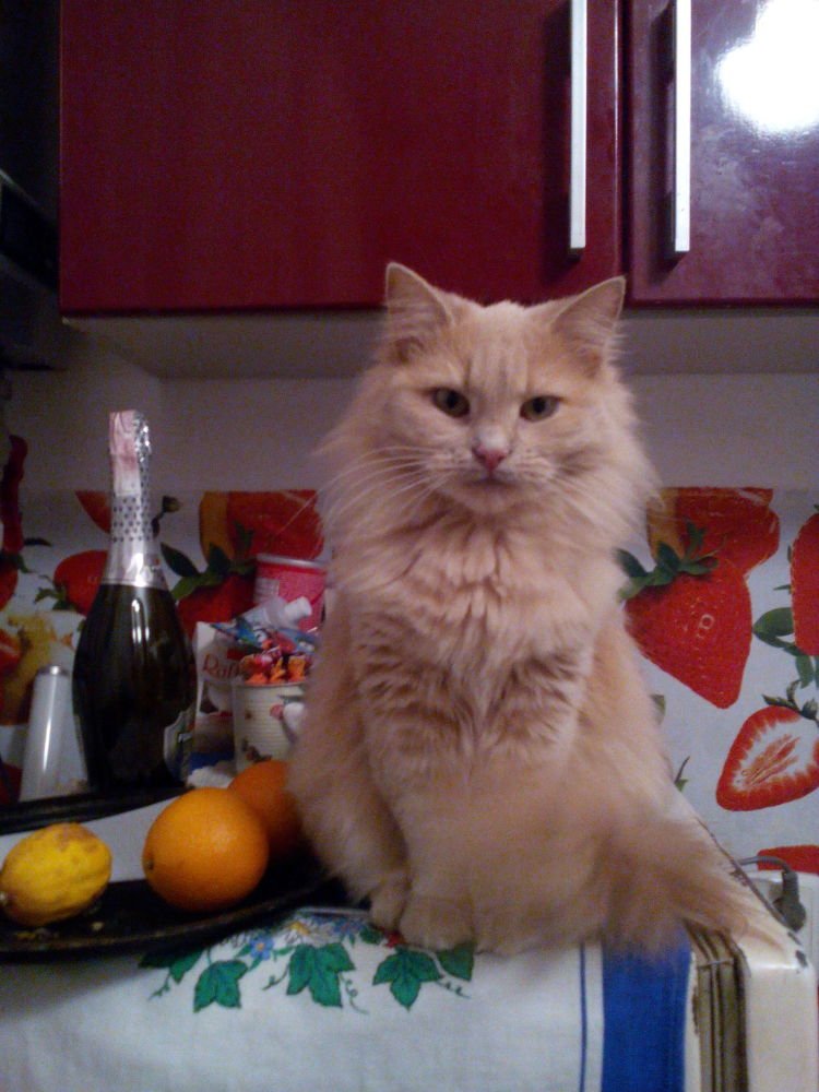 Рождественский вечерок