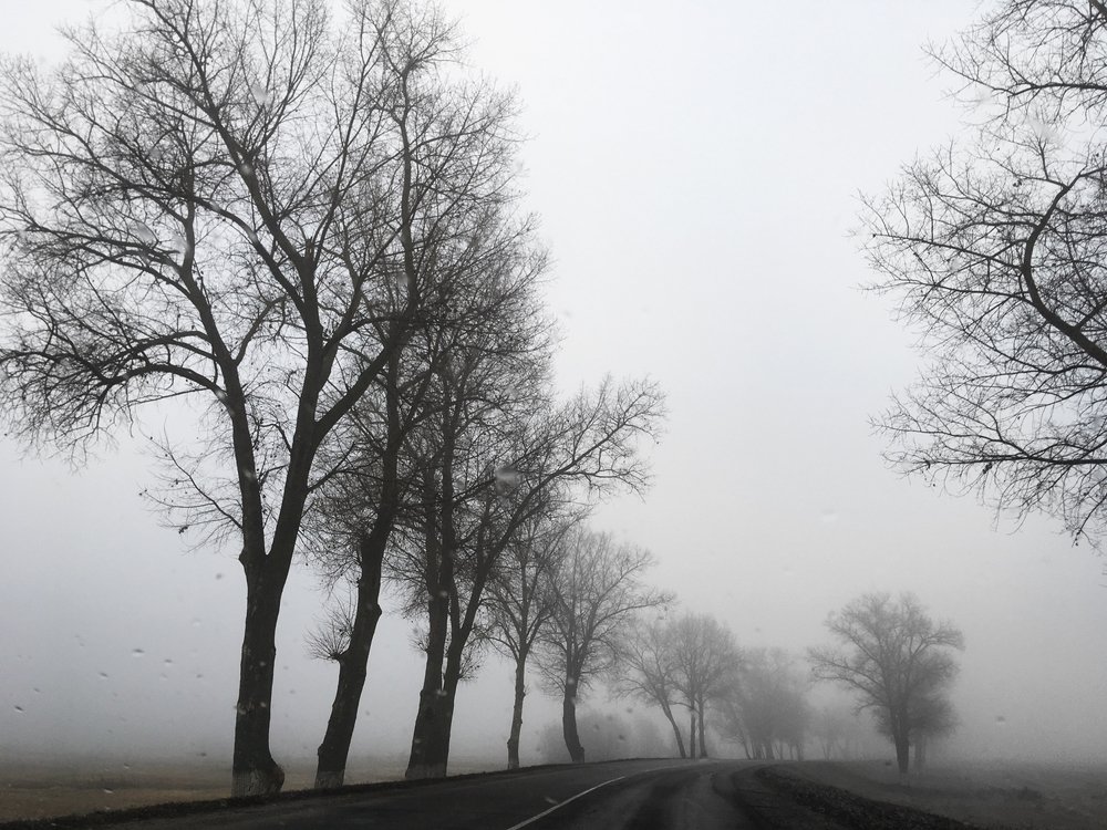 Таинственная дорога.