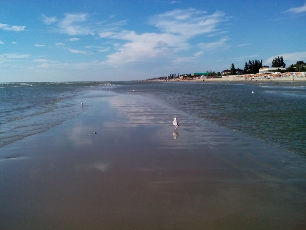 Отлив на рассвете