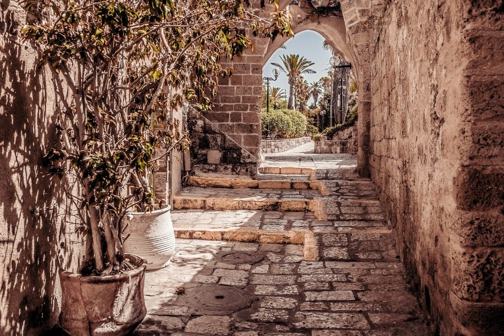 Photograph by Artur Tsvaygenbaum