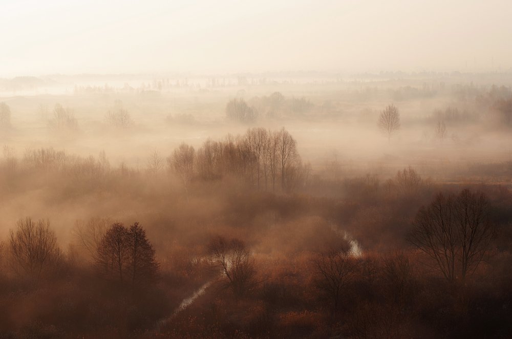 Уставшая туманная осень.