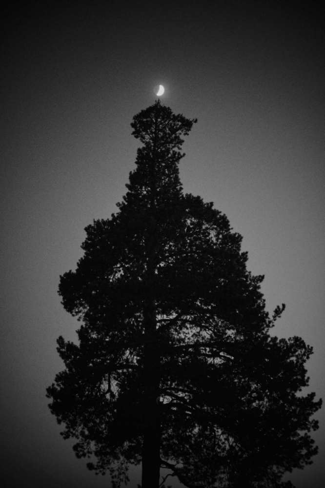 Месяц на макушке