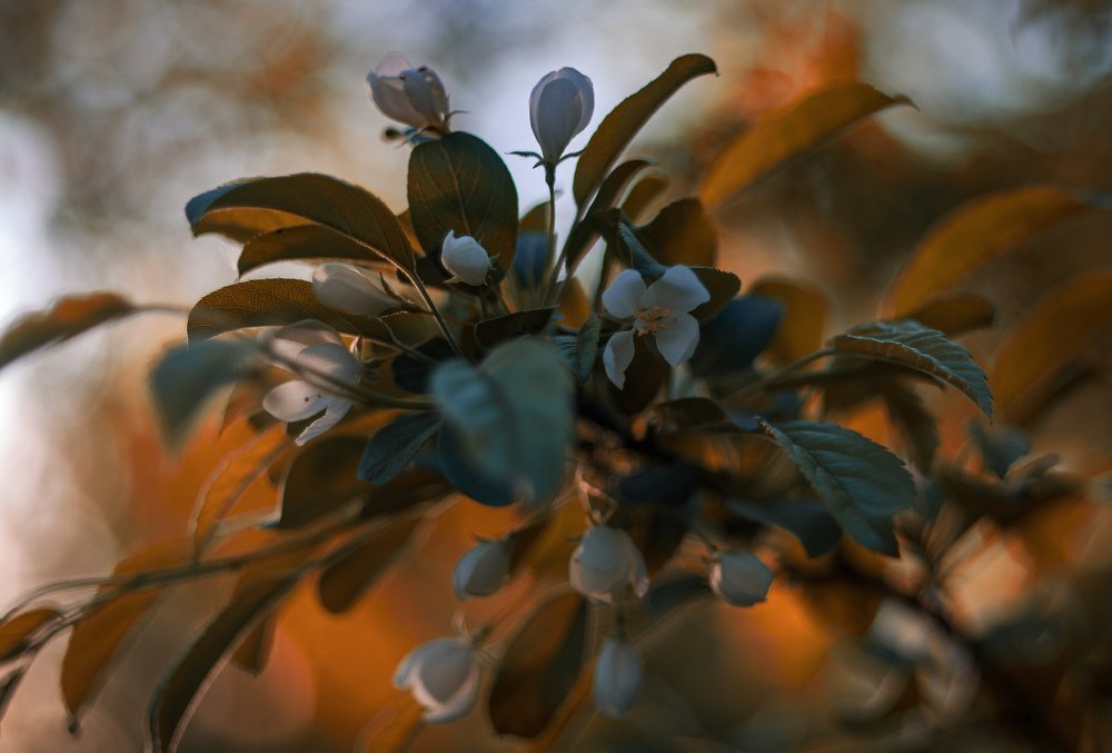 Photograph by Андрей Катков