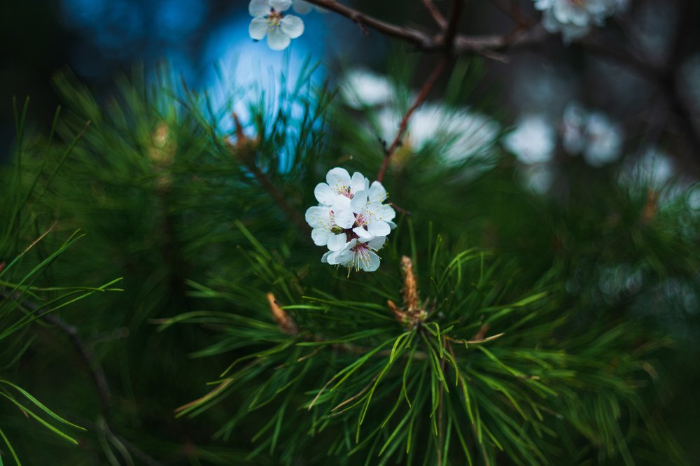 Photograph by Андрей Катков