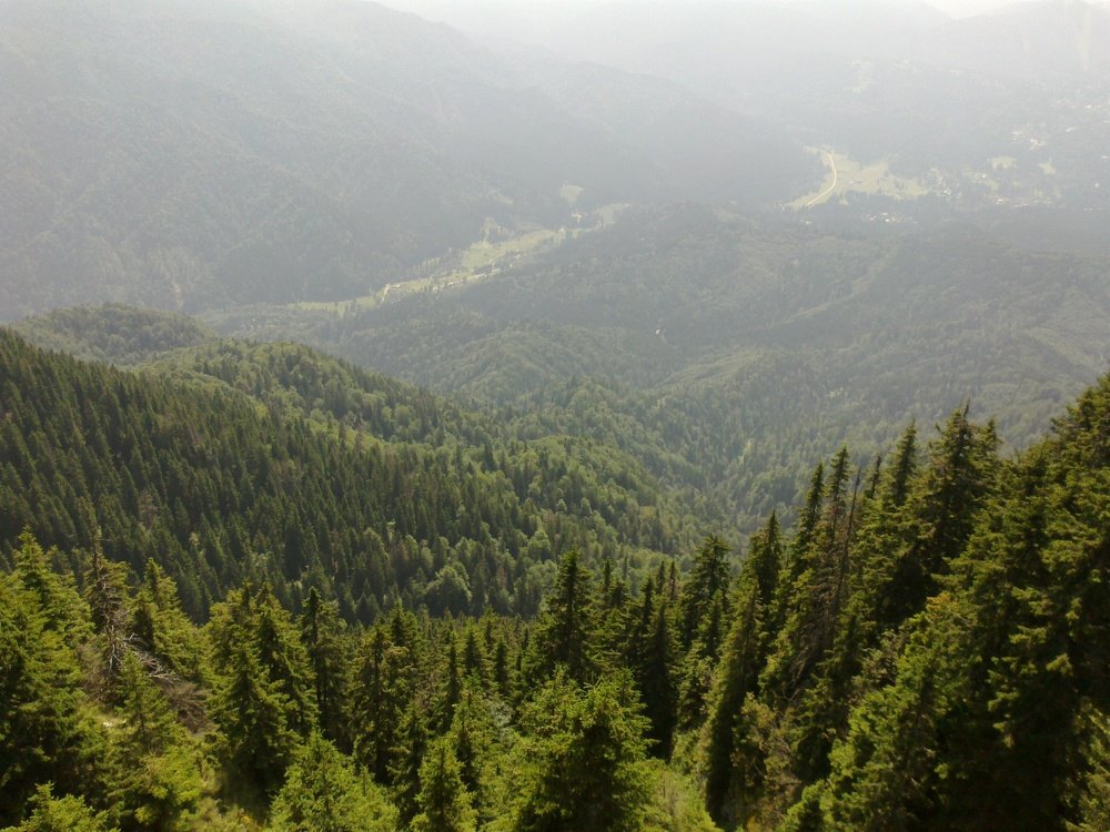 Zări, pe "Carpați"!