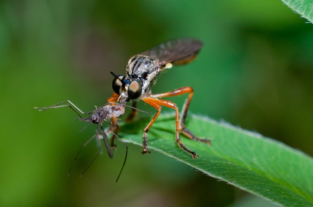 Photograph by Михаил Агульник