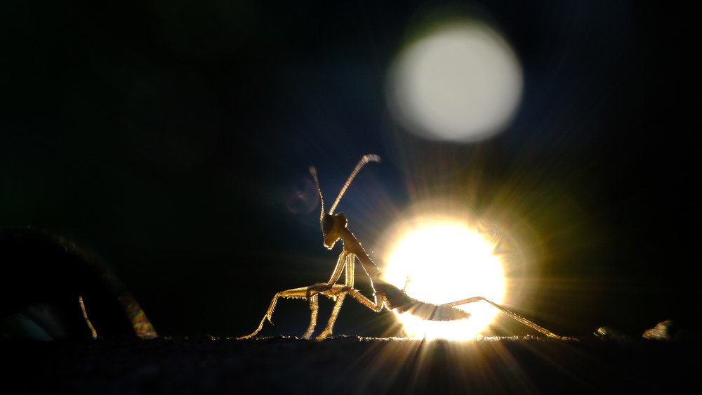 Photograph by Юрьевич Юрий