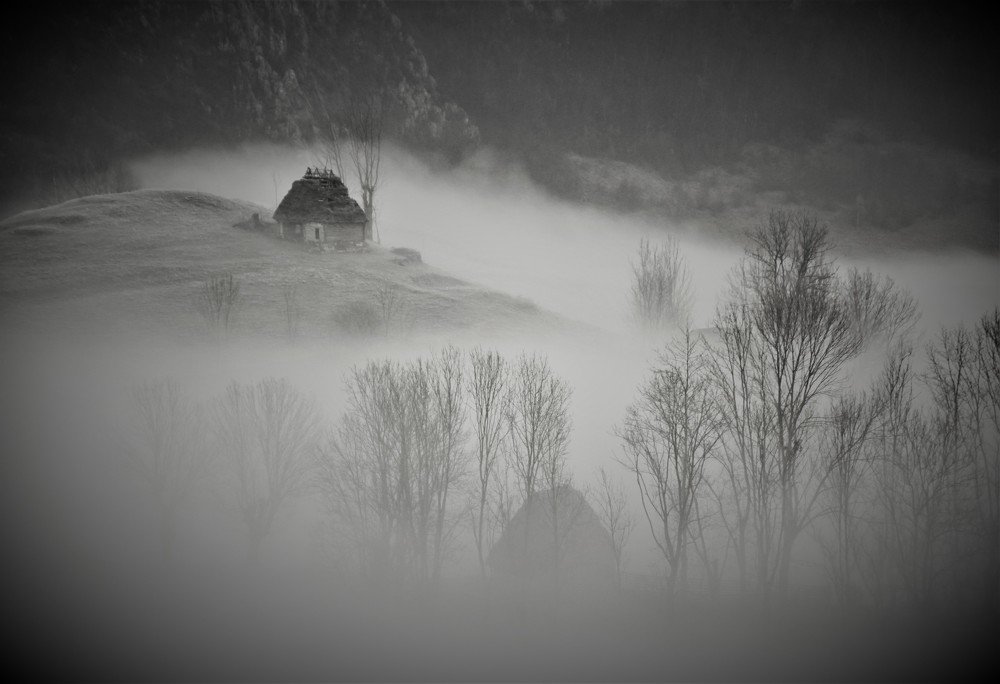 Photograph by flavius oprea