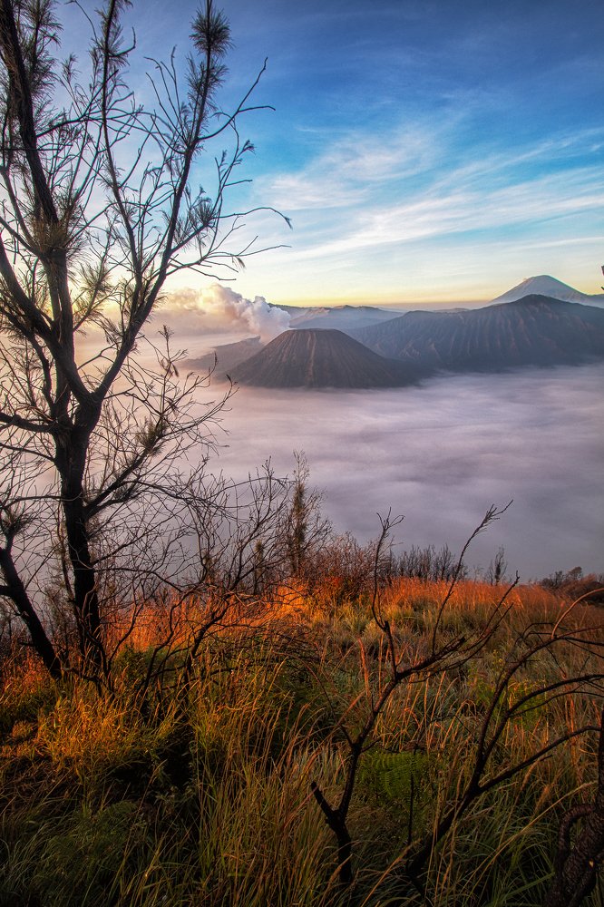 Photograph by Ali Alqassab