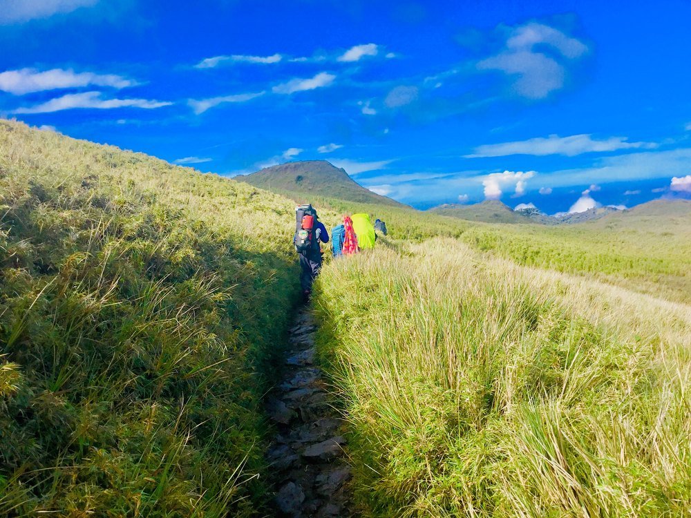 Pulag Hikers