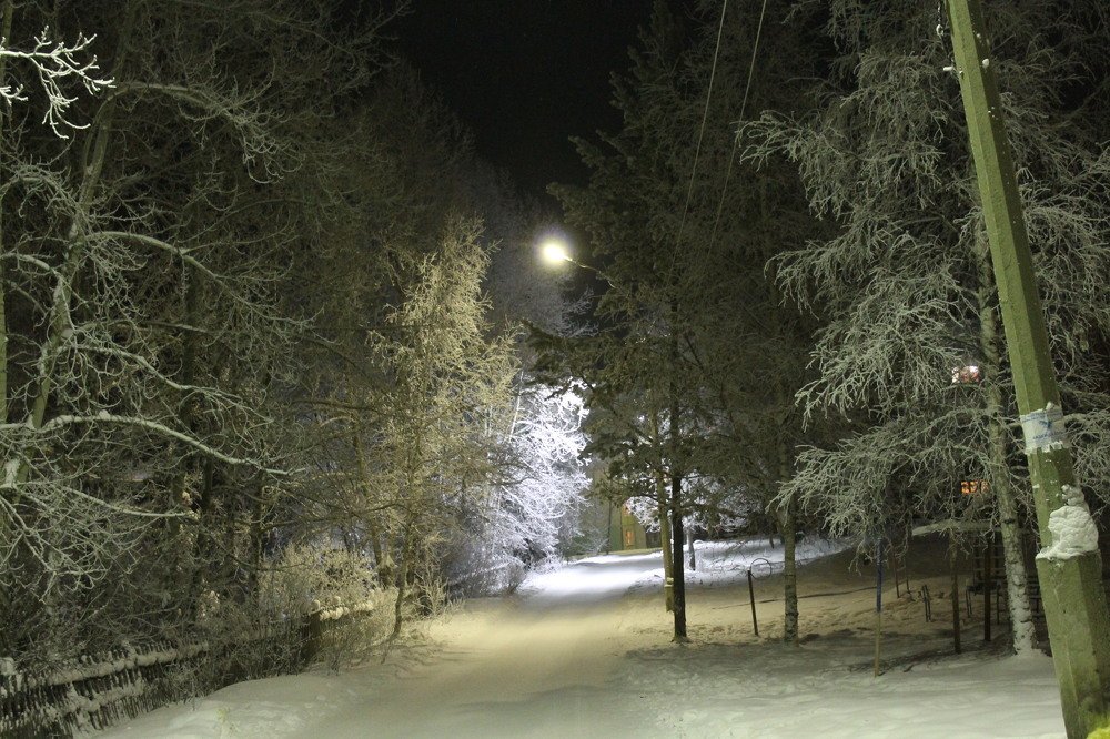 Photograph by Галина Радчук