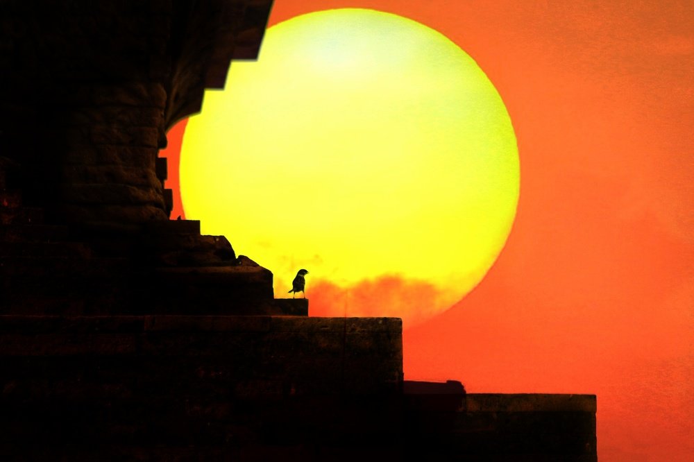 between habitat and threats jabung temple