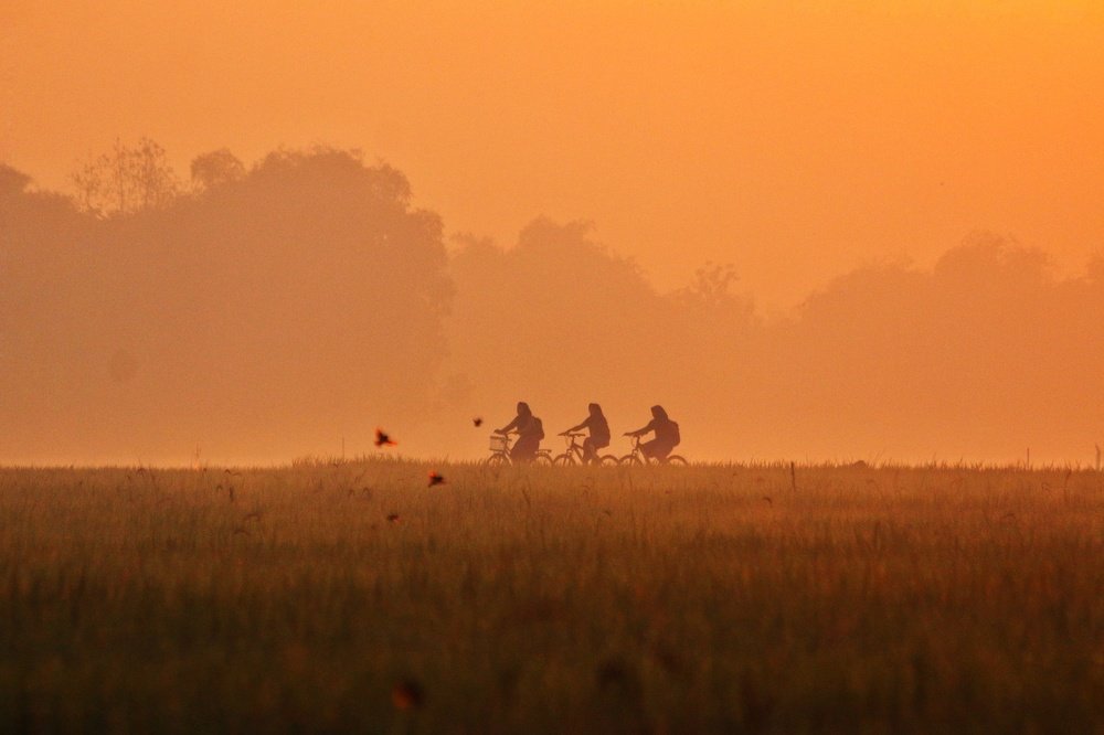morning activities in the village