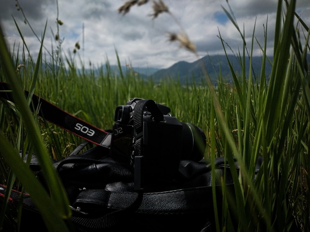 Photograph by Елена Сураева