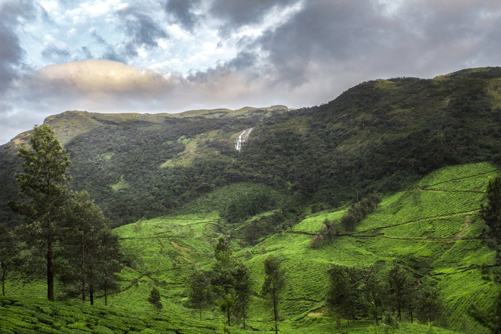 Beautiful munnar