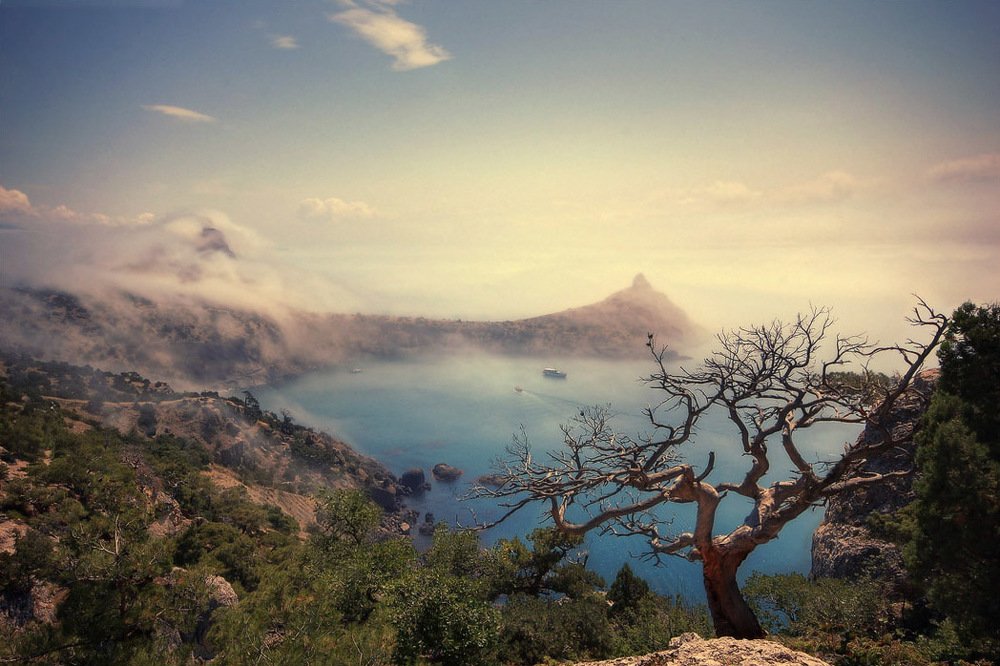 Ящер в тумане