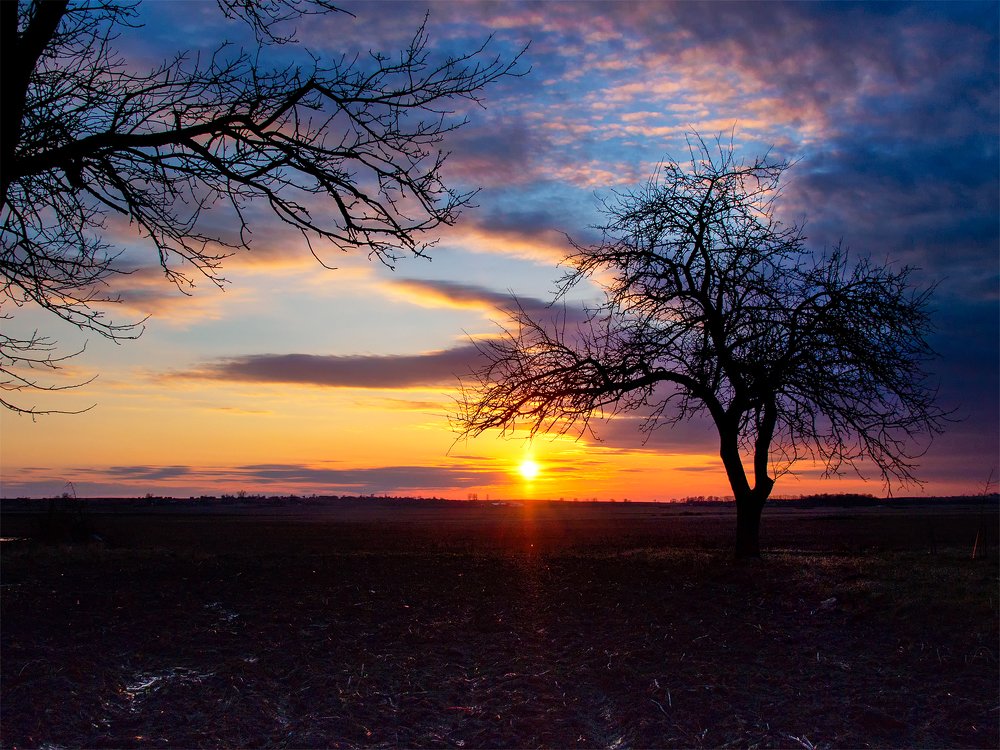 Весенний закат