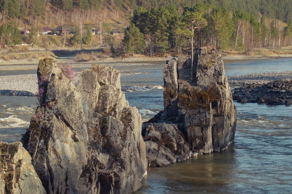 Зубы дракона