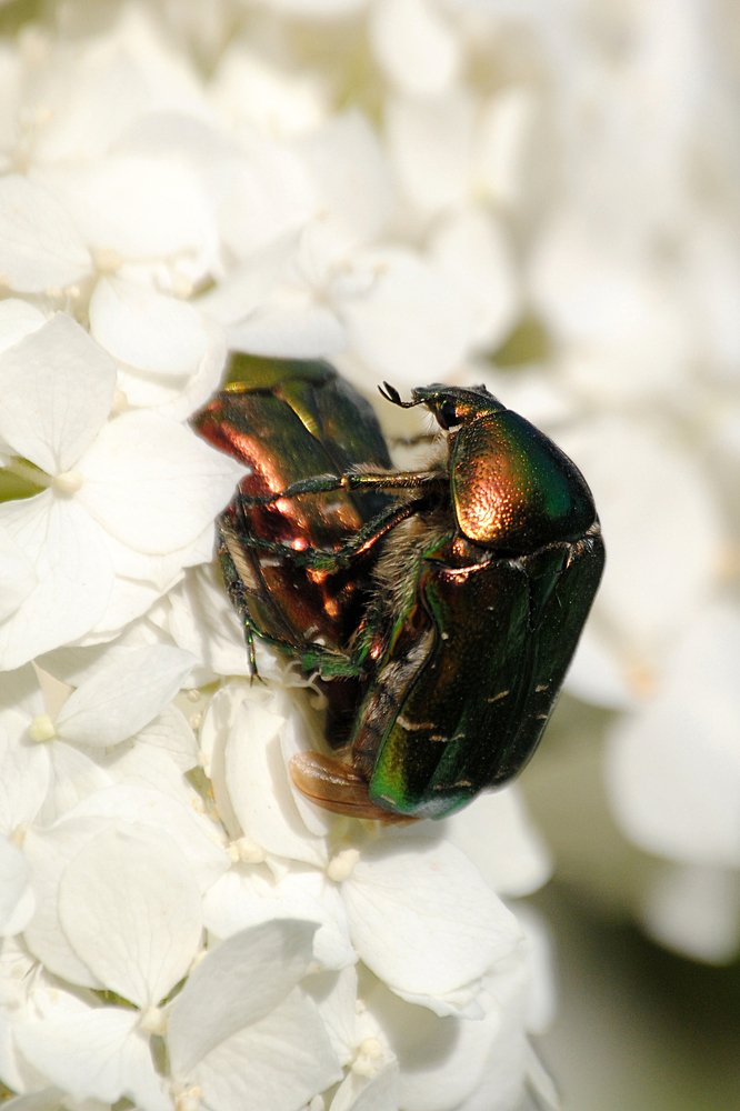 "Жизнь кипит"