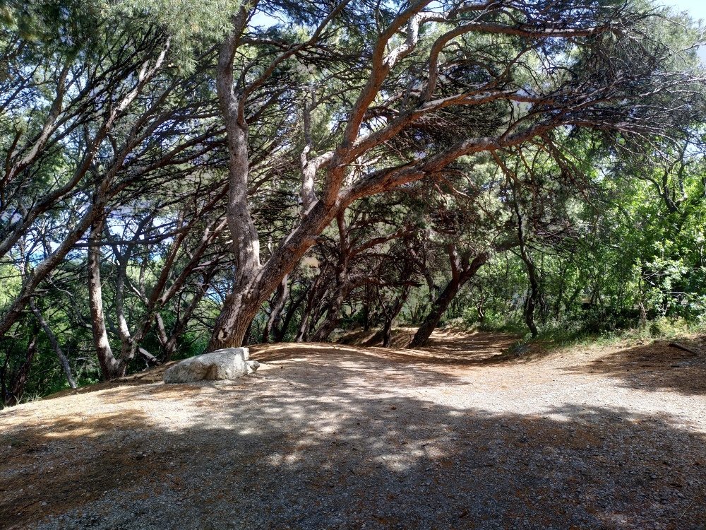 Территрия заброшенного океанографического морского полигона в поселке Кацивели, Крым