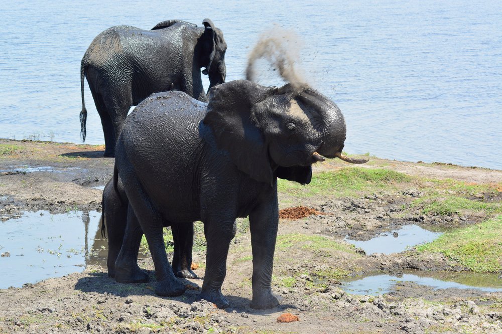 Photograph by Анатолий Орлов