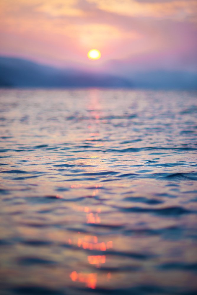 Photograph by Елена