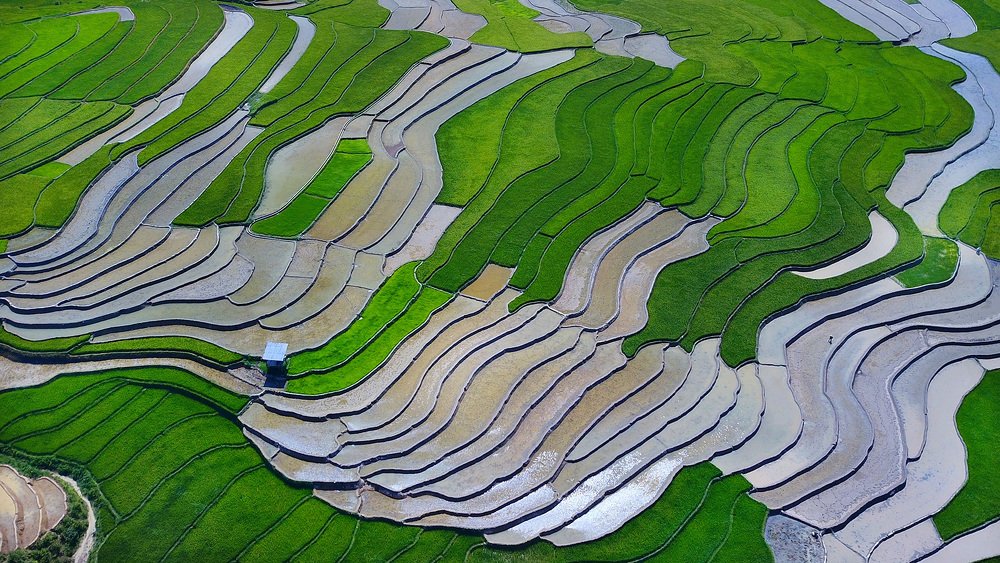 PICTURE OF THE HOMELAND 2