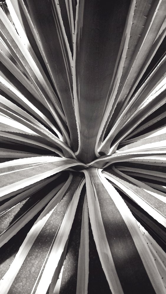 Концентрация