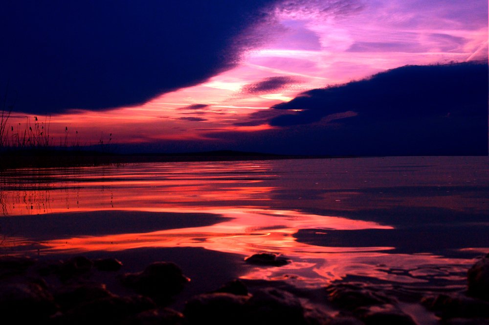 Photograph by Nicki Evtimova