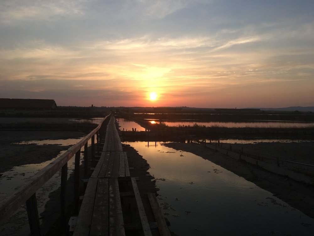 Photograph by Nicki Evtimova