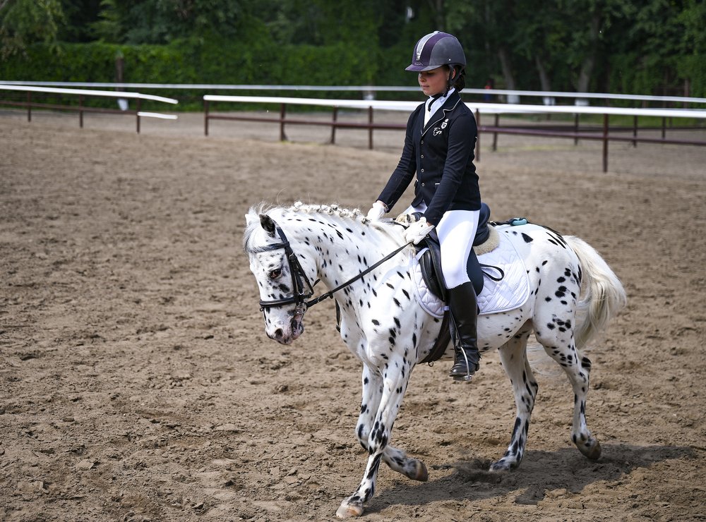 девочка на пони