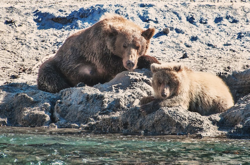 Отдых с мамой.