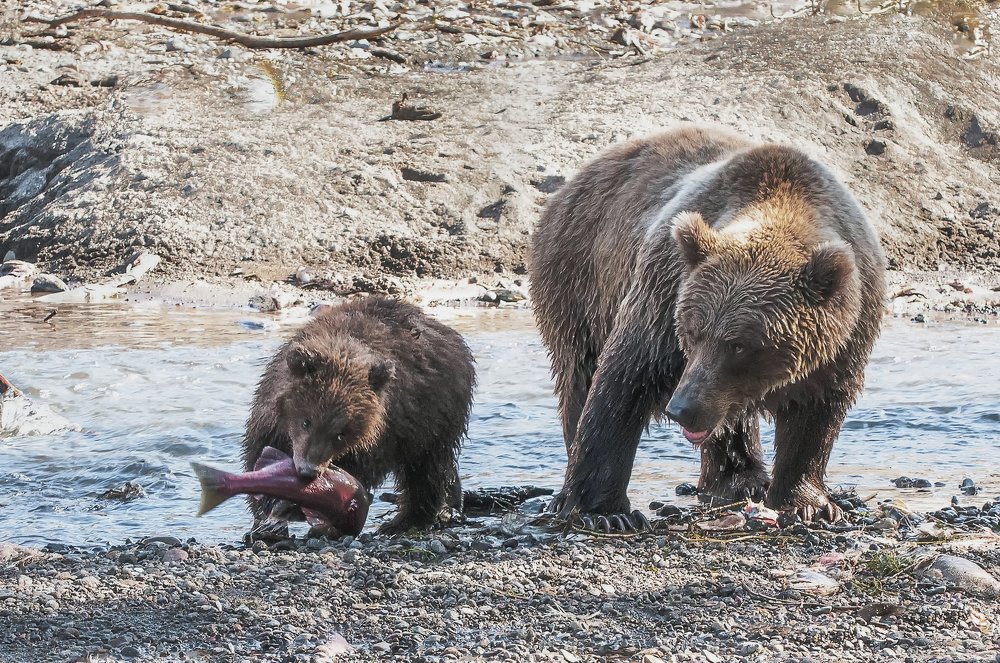 Рыбка для малыша.