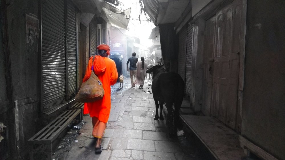 monk in colour